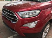 Cần bán xe Ford EcoSport năm sản xuất 2019, màu đỏ, giá chỉ 610 triệu