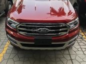 Bán Ford Everest Titatinum đời 2019, màu đỏ, nhập khẩu