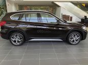 Cần bán xe BMW X1 đời 2019, màu nâu, xe nhập