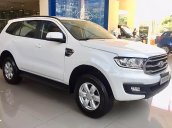 Bán xe Ford Everest Ambiente 2.0 4x2 AT đời 2019, màu trắng, nhập khẩu nguyên chiếc, giá tốt