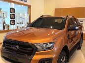 Bán Ford Ranger Wildtrak 2.0L 4x4 AT sản xuất năm 2019, màu vàng 