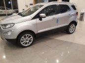 Bán Ford EcoSport sản xuất 2019, màu bạc