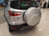 Bán Ford EcoSport sản xuất 2019, màu bạc