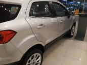 Bán Ford EcoSport sản xuất 2019, màu bạc