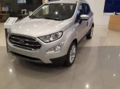 Bán Ford EcoSport sản xuất 2019, màu bạc