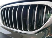 Bán BMW 5 Series 530i Luxury năm sản xuất 2018, màu đen, nhập khẩu  