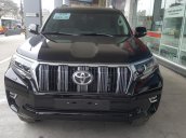 Toyota Land Cruiser Prado VX nhập khẩu, xe đủ màu giao toàn quốc, Hotline 0987404316