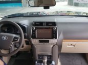 Toyota Land Cruiser Prado VX nhập khẩu, xe đủ màu giao toàn quốc, Hotline 0987404316