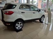 Xe giá tốt Ford Ecosport Trend AT đời 2019, đủ màu, giao ngay, xe nhập, 555 triệu, trả góp 80%, 0799 526 689