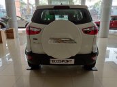 Xe giá tốt Ford Ecosport Trend AT đời 2019, đủ màu, giao ngay, xe nhập, 555 triệu, trả góp 80%, 0799 526 689