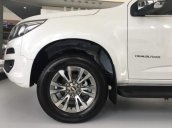 Cần bán Chevrolet Trailblazer sản xuất 2019, nhập khẩu, giá chỉ 785 triệu