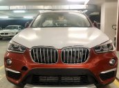 Bán BMW X1 tại Đà Nẵng - Xe chưa đăng ký