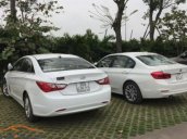 Cần bán lại xe Hyundai Sonata 2010, xe nhập xe gia đình, giá chỉ 425 triệu