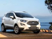 Bán Ford EcoSport đời 2019, màu trắng, giá tốt