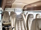 Bán Ford Transit Limousine năm sản xuất 2019, màu trắng