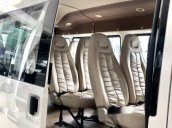 Bán Ford Transit Limousine năm sản xuất 2019, màu trắng