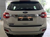 Cần bán Ford Everest 2019, màu trắng, nhập khẩu nguyên chiếc