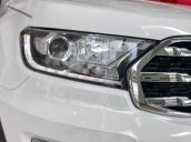 Cần bán Ford Everest 2019, màu trắng, nhập khẩu nguyên chiếc