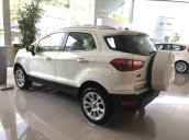 Giảm giá Ford Ecosport 2019, mới 100% giá cực rẻ, tặng phụ kiện, hỗ trợ trả góp 80%