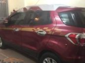 Bán Ford EcoSport Tianium 1.5AT 2016, xe gia đình ít đi và giữ gìn