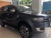 Bán Ford Everest 2.0L Single Turbo Ambiente MT năm 2019, nhập khẩu nguyên chiếc, mới 100%