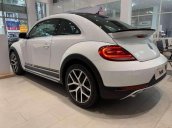 Bán xe Volkswagen Beetle 2019, màu trắng, xe nhập