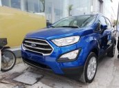 Bán Ford EcoSport đời 2019, màu xanh lam, giá cạnh tranh