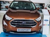 Bán xe Ford EcoSport năm 2019, 535 triệu