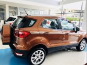 Bán xe Ford EcoSport năm 2019, 535 triệu