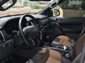 Bán Ford Ranger sản xuất 2017, màu bạc