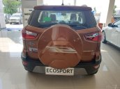 Ford Ecosport 2019, giảm giá tiền mặt và tặng quà hấp dẫn nhất Miền Nam