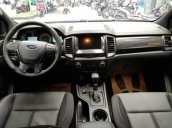 Bán Ford Ranger Wildtrak đời 2019, nhập khẩu, giá chỉ 900 triệu