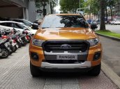 Bán Ford Ranger Wildtrak đời 2019, nhập khẩu, giá chỉ 900 triệu