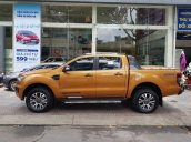 Bán Ford Ranger Wildtrak đời 2019, nhập khẩu, giá chỉ 900 triệu