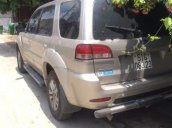 Bán Ford Escape sản xuất năm 2009, màu vàng, xe nhập