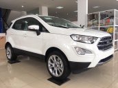 Ford Ecosport giá siêu ưu đãi tặng tiền mặt, BHTV, dán kính cách nhiệt, trải sàn da chống cháy