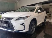 Bán xe Lexus RX 300 đời 2019, màu trắng, xe nhập