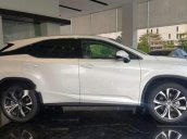 Bán xe Lexus RX 300 đời 2019, màu trắng, xe nhập