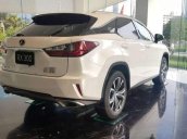 Bán xe Lexus RX 300 đời 2019, màu trắng, xe nhập