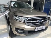 Bán ô tô Ford Everest năm sản xuất 2019, nhập khẩu, mới 100%