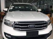 Bán ô tô Ford Everest năm 2019, màu trắng, nhập khẩu nguyên chiếc, giá chỉ 979 triệu