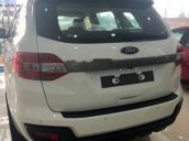 Bán ô tô Ford Everest năm 2019, màu trắng, nhập khẩu nguyên chiếc, giá chỉ 979 triệu