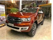 Cần bán xe Ford Everest năm 2019, động cơ 2.0 bi turbo