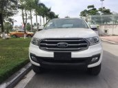 Bán ô tô Ford Everest 2019, màu trắng, nhập khẩu