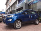 Bán Ford EcoSport đời 2019, màu xanh lam, giá tốt