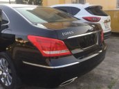 Bán Hyundai Equus sản xuất năm 2010, màu đen