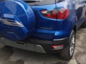 Bán Ford EcoSport đời 2019, màu xanh lam, giá tốt