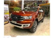 Bán xe Ford Everest sản xuất năm 2019, 936tr