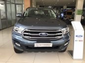 Cần bán Ford Everest đời 2019, màu xám, xe nhập