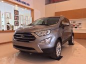 Ford Lào Cai bán xe Ford Ecosport đủ các phiên bản: Ambient, Trend, Titanium, số sàn số tự động giá chỉ từ 515Tr